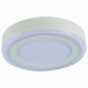 Накладной светильник Arte Lamp Antares A7816PL-2WH