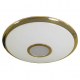 Накладной светильник Citilux Starlight CL70362R
