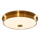 Накладной светильник Citilux Фостер-2 CL706232
